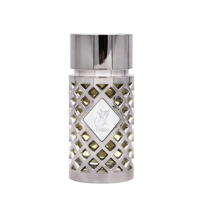 Silver lattice-patterned bottle with a metallic cap on a white background