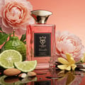 Bujairami Blush Eau de Parfum — Red box and glass bottle with gold cap and red liquid, black label with gold crown and B logo