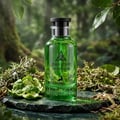 Maison Alhambra Jean Lowe Verde Aura Alhambra 100ml — A green glass perfume bottle and its matching light green box with cactus and leaf illustrations, set against a white background. | Maison Alhambra Jean Lowe Verde Aura Alhambra 100ml — Botol kaca hijau dan kotak hijau muda padanannya dengan ilustrasi kaktus dan