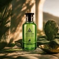 Maison Alhambra Jean Lowe Verde Aura Alhambra 100ml — A green glass perfume bottle and its matching light green box with cactus and leaf illustrations, set against a white background. | Maison Alhambra Jean Lowe Verde Aura Alhambra 100ml — Botol kaca hijau dan kotak hijau muda padanannya dengan ilustrasi kaktus dan