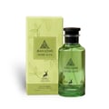 Maison Alhambra Jean Lowe Verde Aura Alhambra 100ml — A green glass perfume bottle and its matching light green box with cactus and leaf illustrations, set against a white background. | Maison Alhambra Jean Lowe Verde Aura Alhambra 100ml — Botol kaca hijau dan kotak hijau muda padanannya dengan ilustrasi kaktus dan