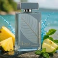 Lattafa Najdia Intense Men Lattafa 100ml EDP — A clear glass perfume bottle with a grey cap and a prominent silver leaf design on the front, placed next to its matching grey and blue box with a similar silver leaf motif.