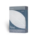 Lattafa Najdia Intense Men Lattafa 100ml EDP — A clear glass perfume bottle with a grey cap and a prominent silver leaf design on the front, placed next to its matching grey and blue box with a similar silver leaf motif.