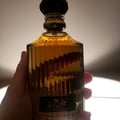 Hand holding a glass bottle with a dark cap against a neutral background