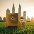 emeer-klcc-grass