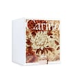 Perfume wanita Carino White Rue Broca original Malaysia – minyak wangi rose, jasmine & musk yang lembut